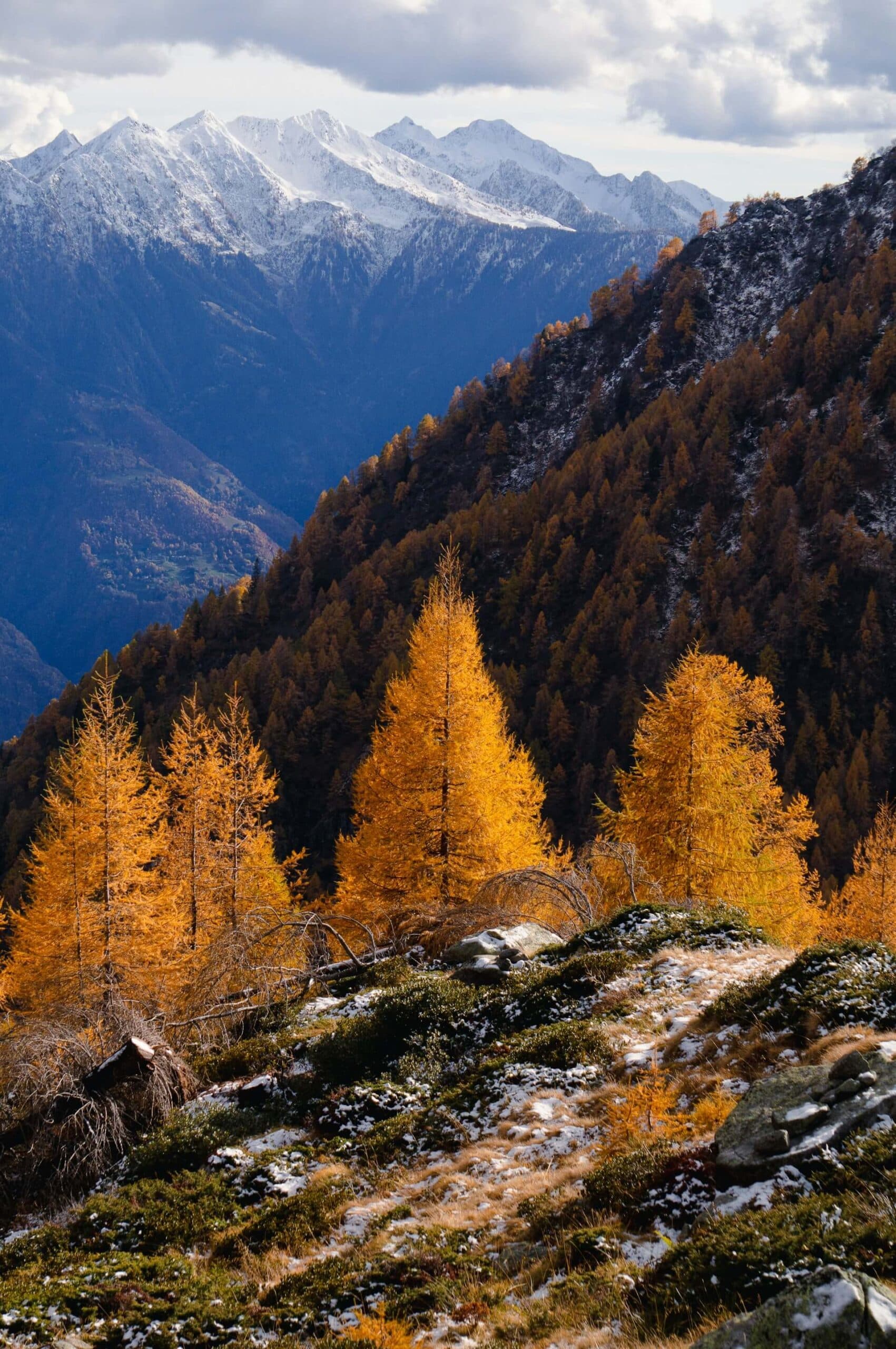 Valtellina